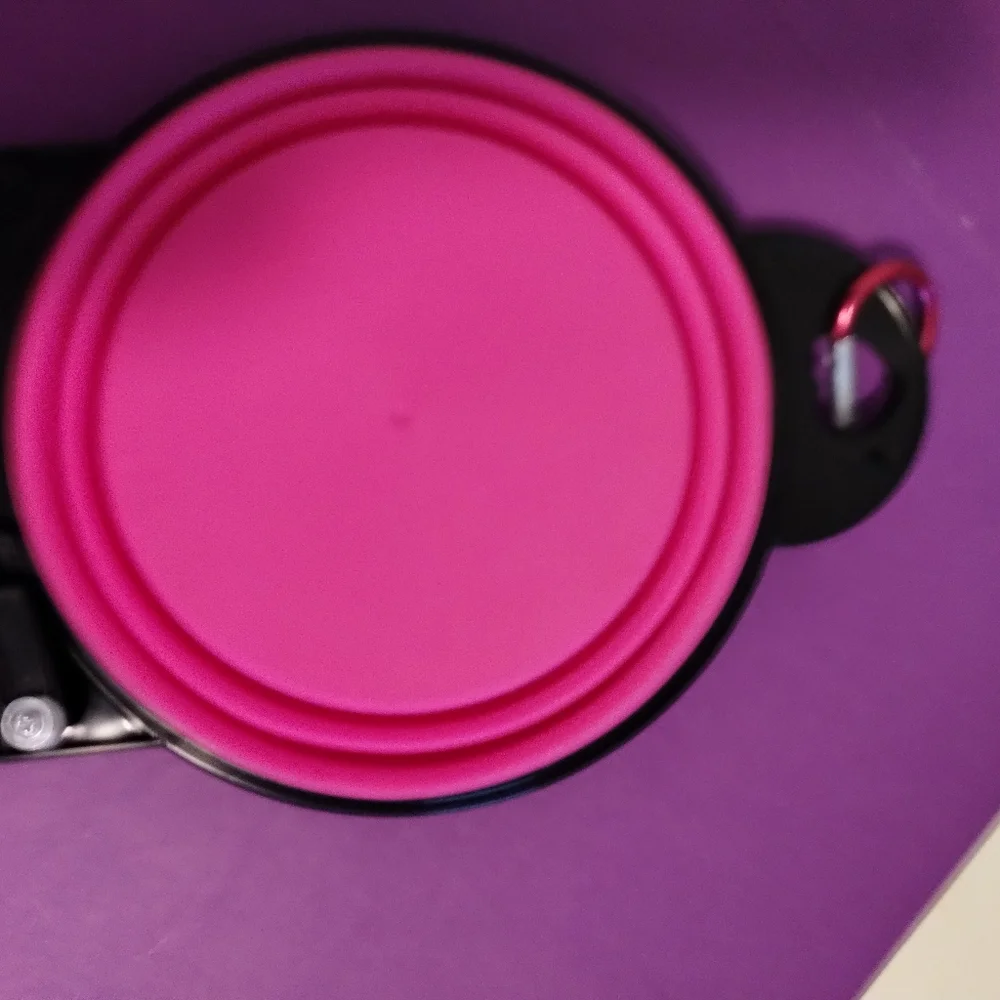 Collapsible double pet bowl